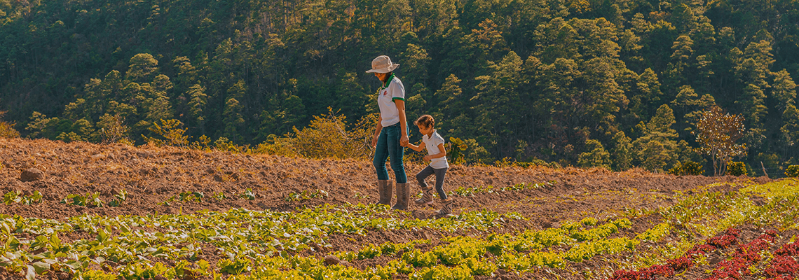 Financing Nature-Based Solutions In Latin America And The Caribbean - PADF